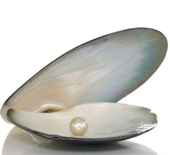 aragon-pearl